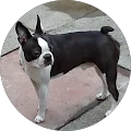 carole Sainthouse Avatar